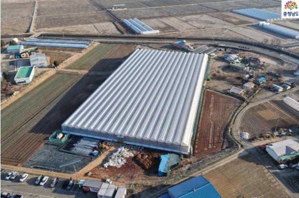 충남도 1만㎡ 규모 딸기 스마트팜 육묘장 조성